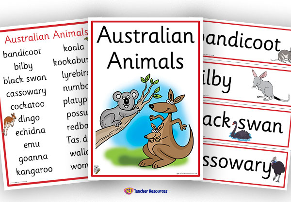 20 Australian Animals Vocabulary Words