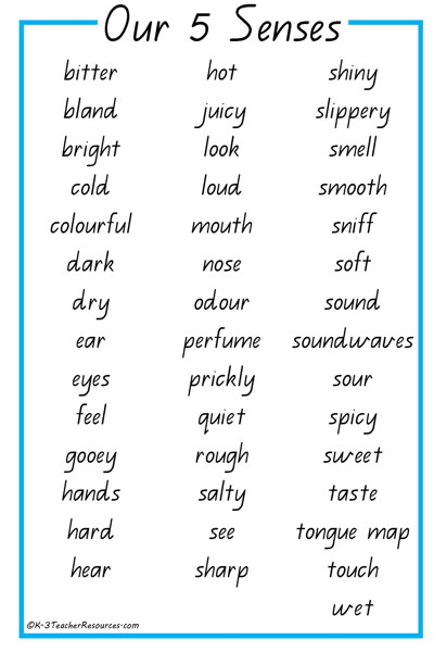 43 Our 5 Senses Vocabulary Words K-3 Teacher Resources